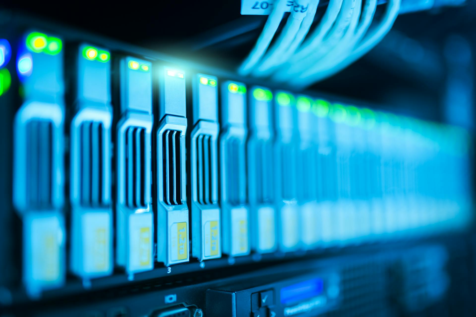 Database Design & Management