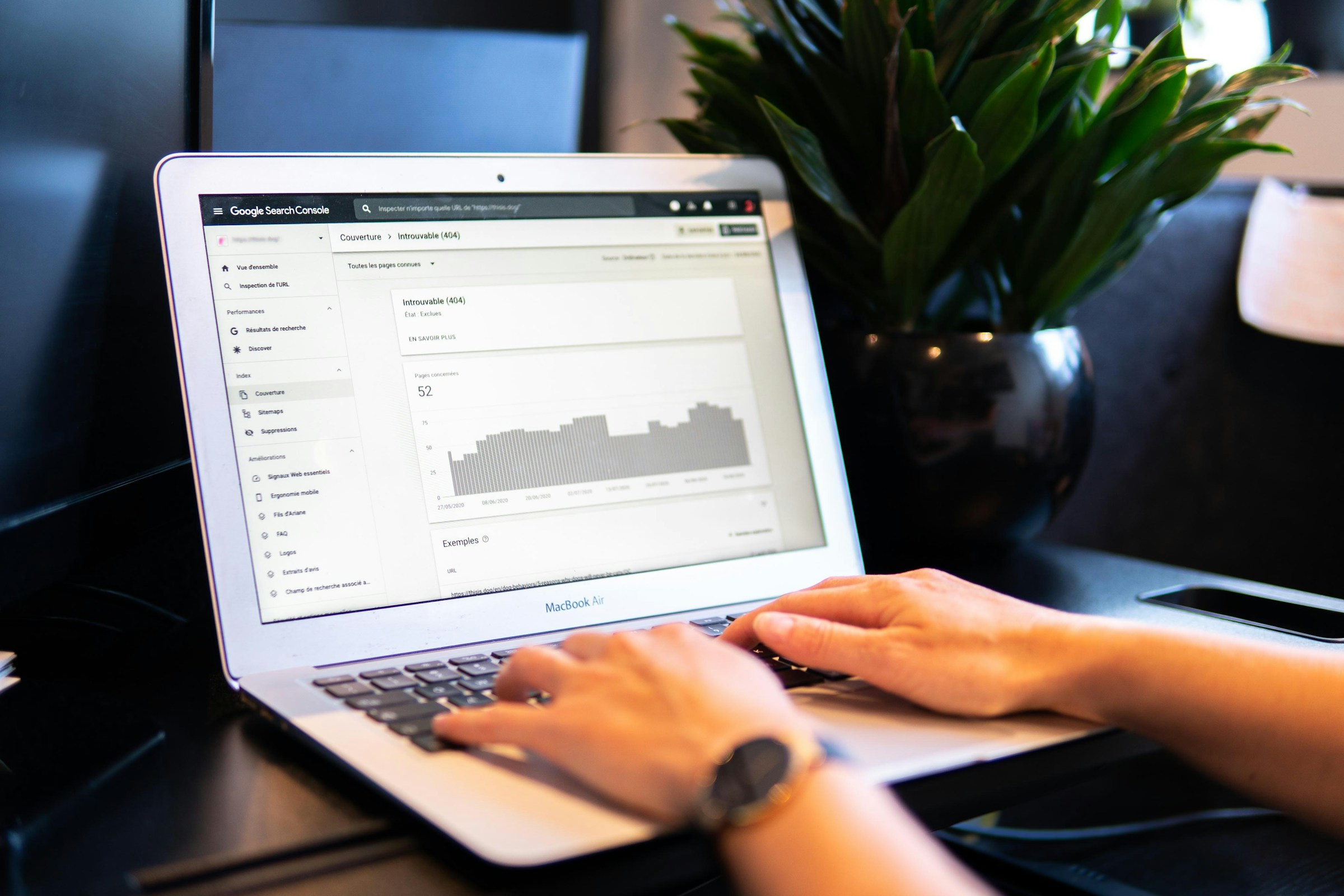 SEO & Digital Marketing